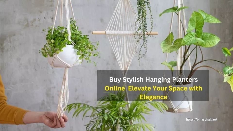 Hanging Planters
