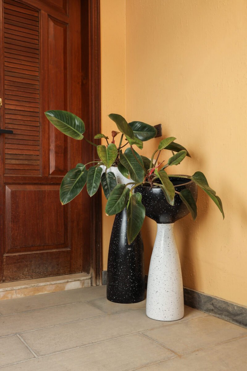 Buy Betty (Terrazzo) Indoor Planters Online – Stylish Home Decor | BinaSohail.ae